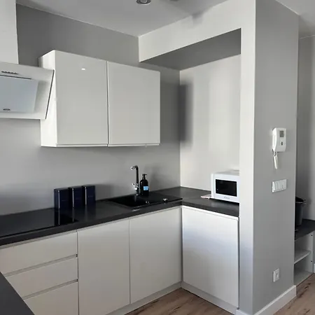 Διαμέρισμα About Art - Ovo Βρότσλαβ